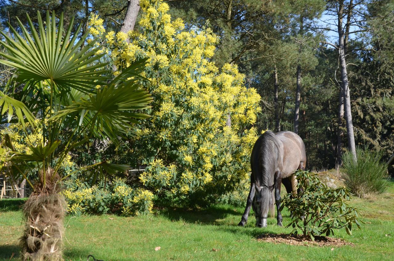 L'Hippocampe Bed & Breakfast Serent Luaran gambar